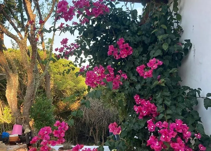 아파트 Harbor Haven *