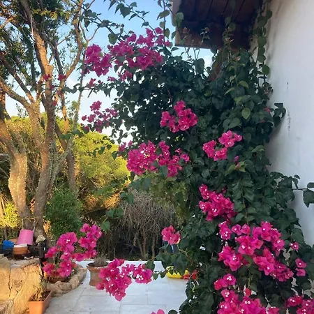 Apartamento Harbor Haven *